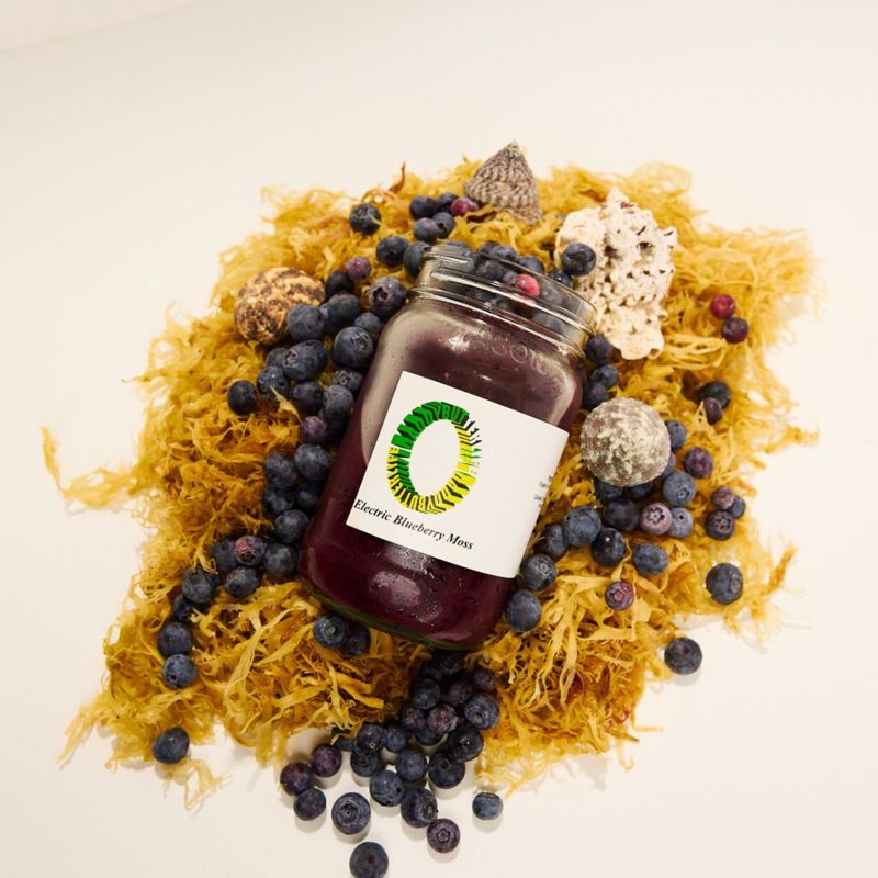 Product photo of DaddyButter Electric Blueberry Moss