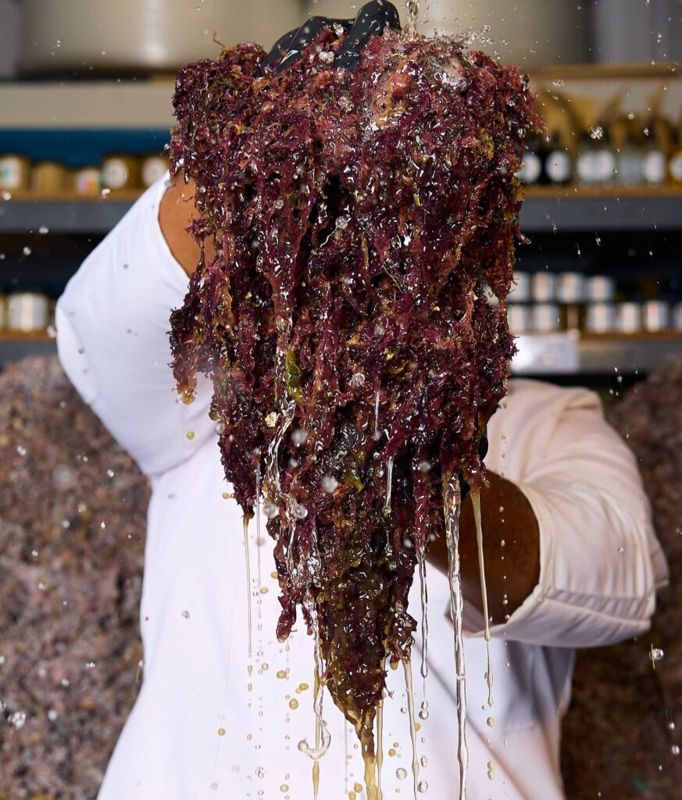 Product photo of DaddyButter The REAL Purple Chondrus Crispus (Pre-soaked/Cleaned)